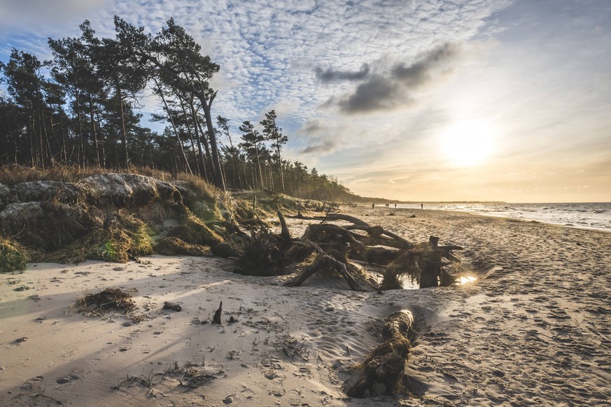 Germany, Mecklenburg-Western Pomerania, Darss, Ahrenshoop, West beach at sunset PUBLICATIONxINxGERxSUIxAUTxHUNxONLY KEBF01063