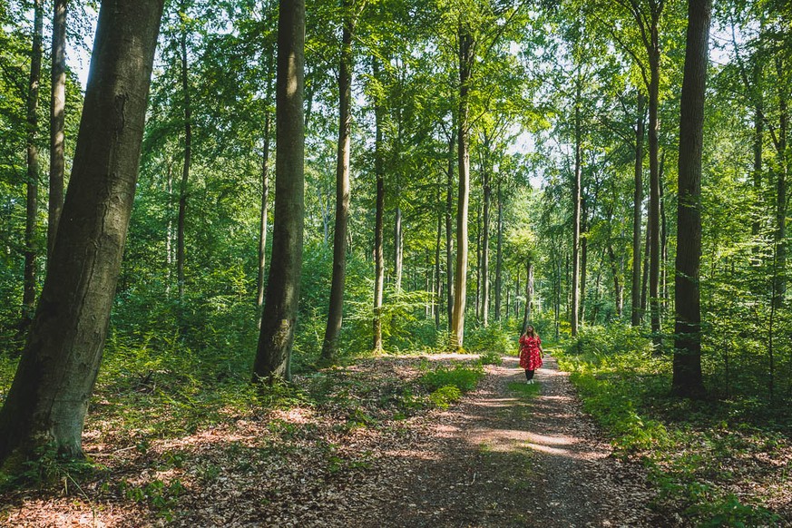 Laura wandert durch den Choriner Wald.