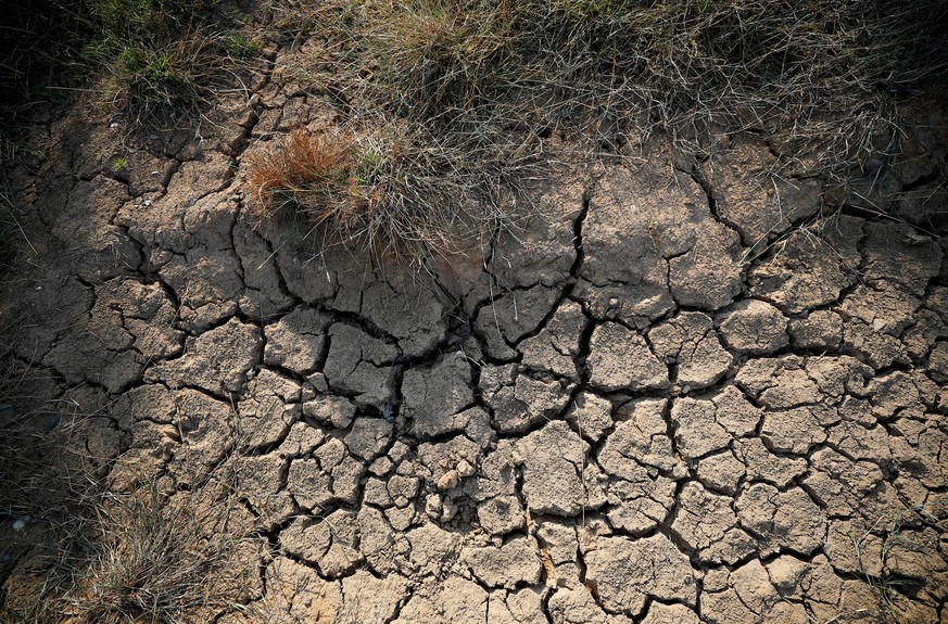 FILE PHOTO: Dry earth cracks in a farmer's field near Altringham, Cheshire, Britain, July 26, 2018. REUTERS/Phil Noble/File Photo