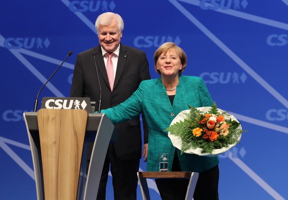 Horst Seehofer und Angelika Merkel | Verwendung weltweit
