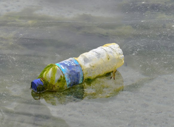 Hersteller von Plastik-Flaschen sollen künftig zahlen