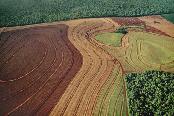 Wie hier in Brasilien fallen zahlreiche Waldflächen der Landwirtschaft zum Opfer.