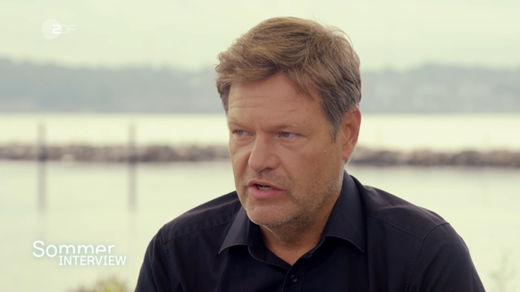 Das ZDF-Sommerinterview mit dem Grünen-Chef Robert Habeck fand in dessen Heimatbundesland Schleswig-Holstein statt.
