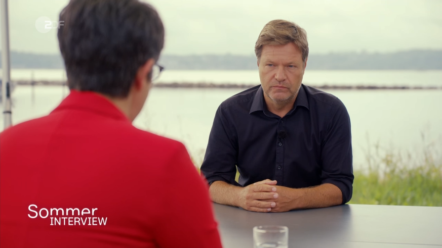 Grünen-Chef Robert Habeck im ZDF-Sommerinterview.