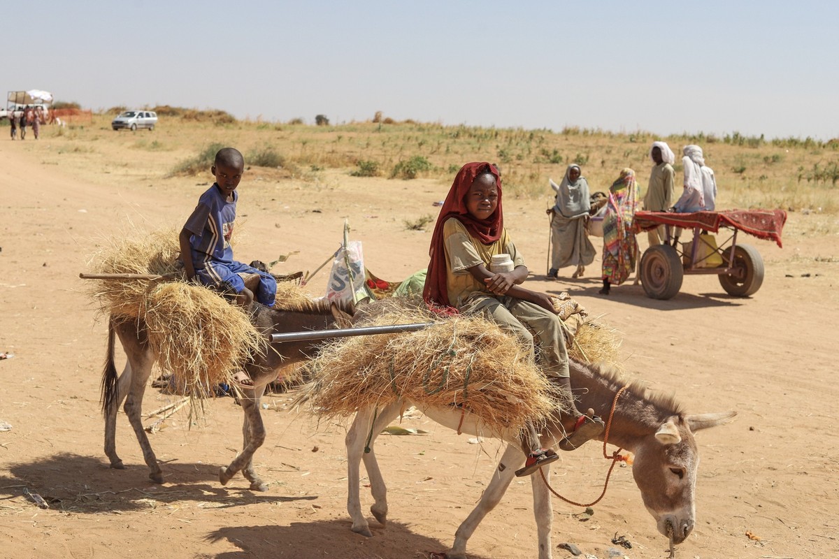 Sudanese who fled el-Fasher city, after Sudan&#039;s paramilitary forces killed hundreds of people in the western Darfur region, carry firewood at their camp in Tawila, Sudan, Wednesday, Oct. 29, 2025 ...