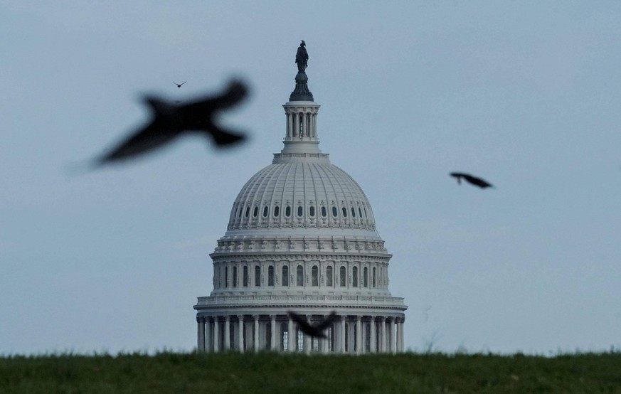 Bird are seen flying in front of the U.S. Capitol in Washington DC, on Tuesday, November 3, 2020. On the day of the 2020 US Presidential Election, a sparse amount of people are seen around the Nationa ...