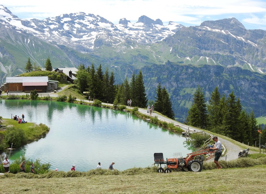 Foto Manuel Geisser 09.07.2020 Landwirtschaft . Bergheuet bei Engelberg mit Haerzlisee Schweiz *** Photo Manuel Geisser 09 07 2020 Agriculture mountain hay near Engelberg with Haerzlisee Switzerland P ...