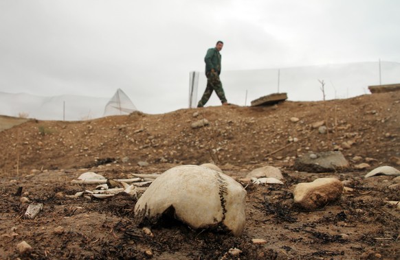 ARCHIV - 15.12.2016, Irak, Sindschar: Größtenteils menschliche Knochen liegen auf einem Massengrab nahe des Sindschar-Gebirges. Sindschar ist einer von mehr als 30 namenlosen Orten im Nordwesten des I ...