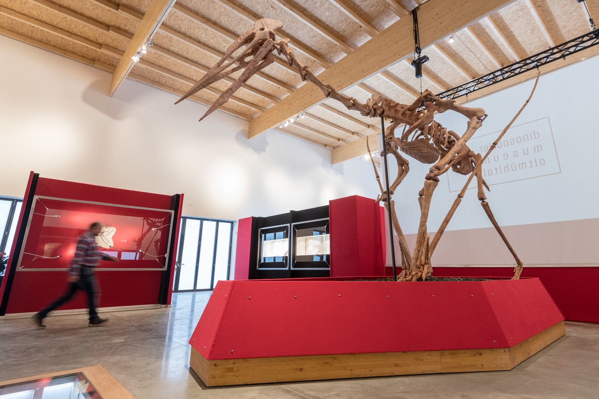 Nur fliegen konnte er vermutlich nie: Riesenflugsaurier "Dracula" steht im Dinosaurier Museum Altmühltal.