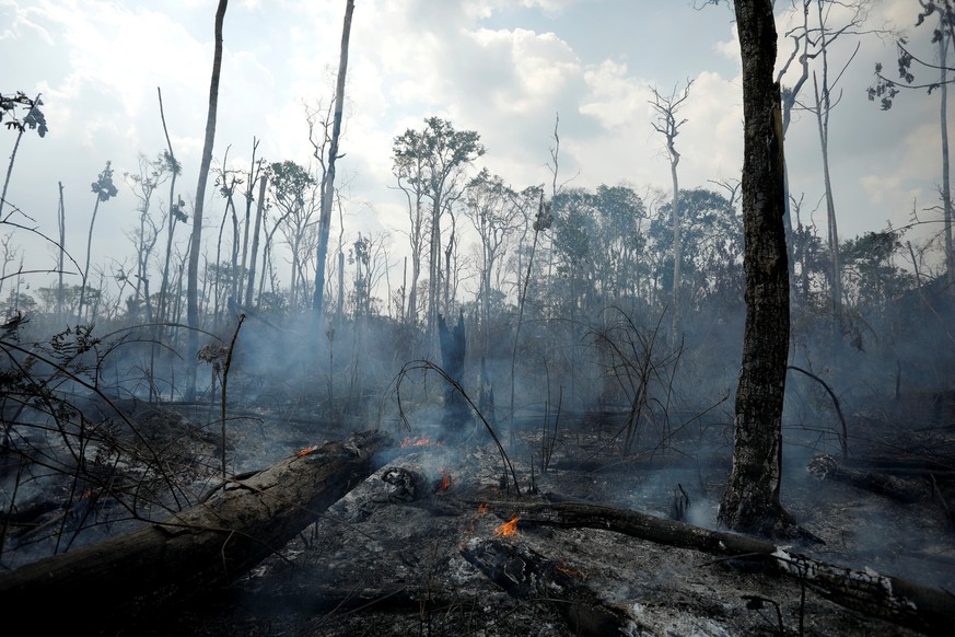 In Brasilien steht der Wald seit Wochen in Flammen. 