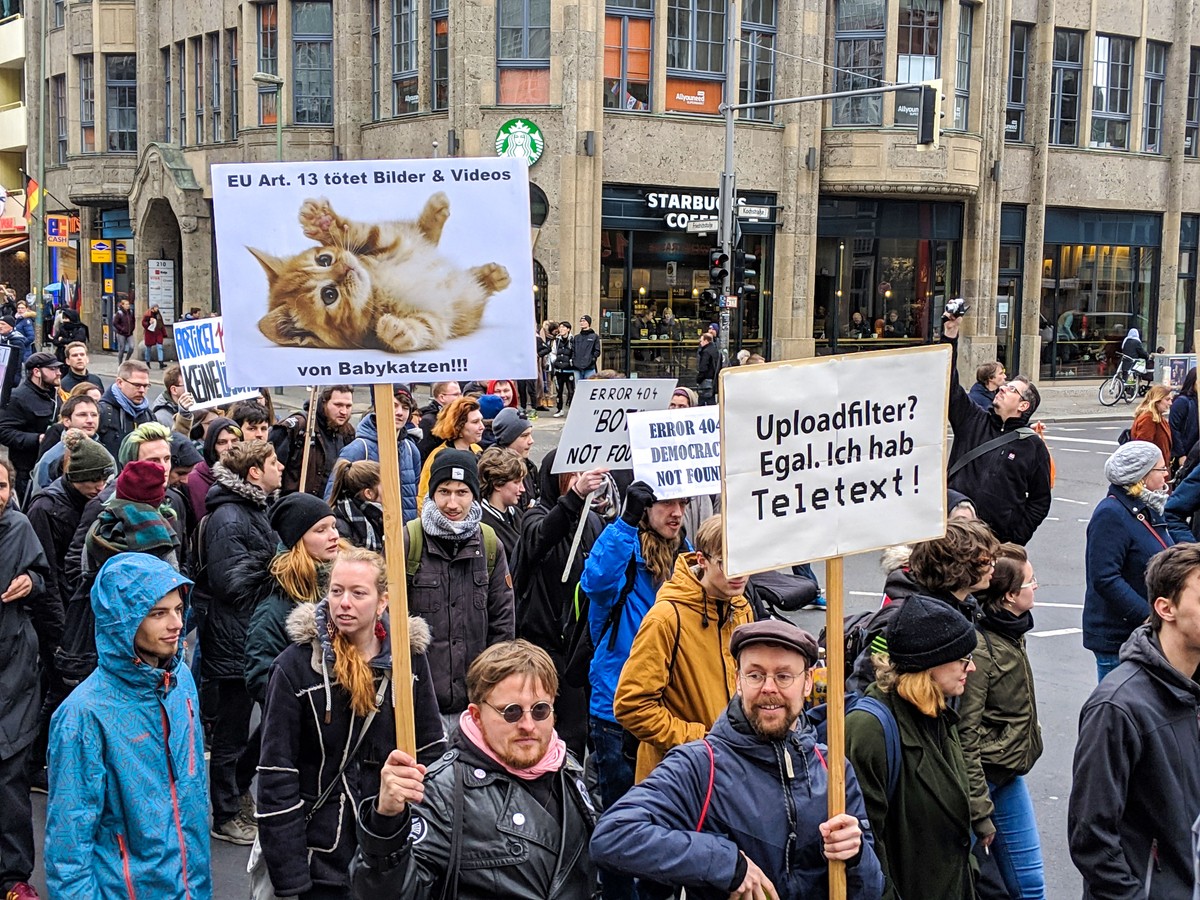 Nicht die Katzenbilder!