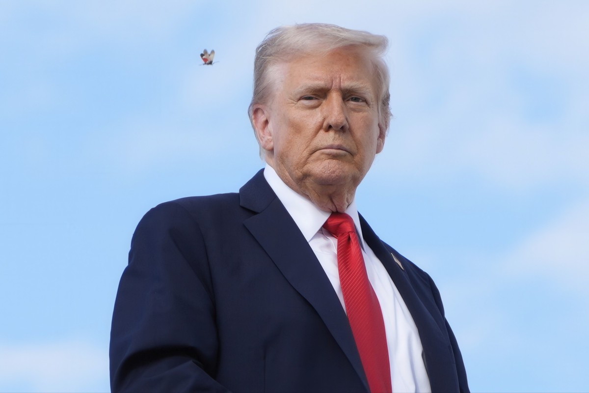 dpatopbilder - 11.09.2025, USA, Gemeinsamer Stützpunkt Andrews: Eine gefleckte Laternenfliege fliegt an US-Präsident Donald Trump vorbei, als er auf der Joint Base Andrews an Bord der Air Force One ge ...