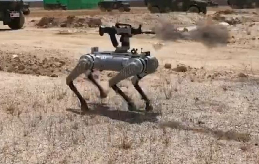 Roboter Hunde Robodog China