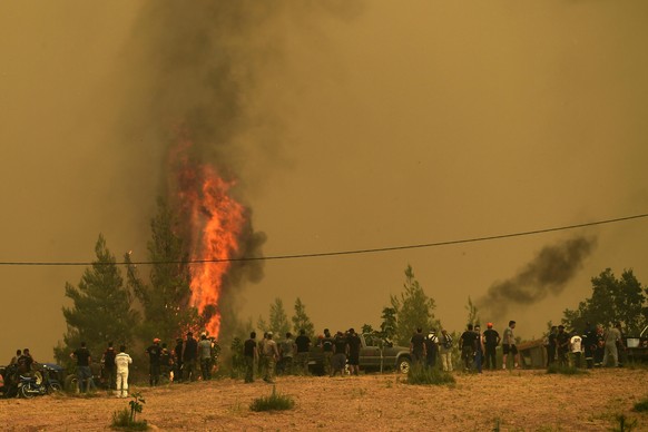 Rund 51 Hektar Wald liegen auf der griechischen Insel Euböa mittlerweile in Asche.