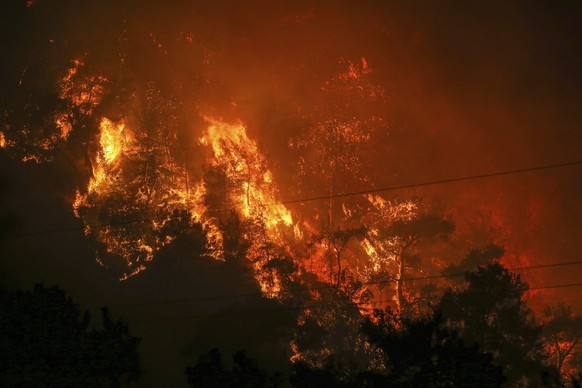 02.08.2021, T�rkei, Bodrum: B�ume brennen in einem fortschreitenden Feuer, das im Dorf Cokertme in der N�he von Bodrum, T�rkei, w�tet. Den sechsten Tag in Folge k�mpften t�rkische Feuerwehrleute am Mo ...