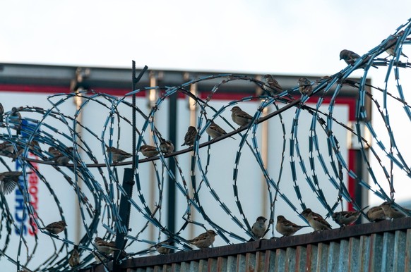 Subject shooting Barbed wire over the prison fence Samara Samara region Russia Copyright: xSvetlanaxVozmilovax Vozmilova1669