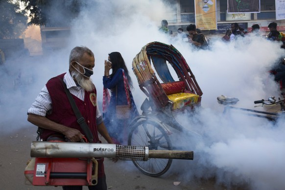 DHAKA, BANGLADESH - JANUARY 16 : Dhaka City Corporation worker sprays pesticide for kill mosquitoes at University area in Dhaka, Bangladesh on January 16, 2019. Anti Mosquito Smoke Spray in Dhaka PUBL ...