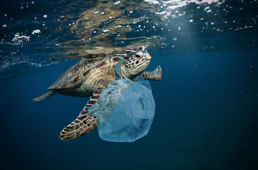 Damit der Ozean wieder den Meeresbewohnern gehört: Länder sagen Plastikmüll den Kampf an.