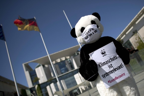 Gegen Abwrackpraemie - Demonstration before coalition summit DEU, Deutschland, Germany, Berlin, 02.06.2020 Aktivisten von WWF mit Kostuem Panda und mit Schild Klimaschutz ist systemrelevant Green Reco ...