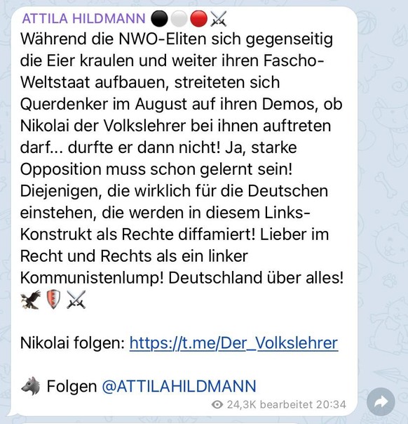 Die "Querdenker" als "Linkskonstrukt". Screenshot einer Telegram-Botschaft Attila Hildmanns aus dem November.