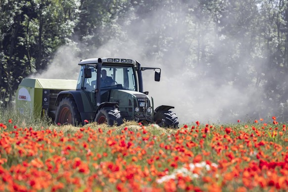 Farbige Blumenfelder in der Hohenloher Ebene bei Blaufelden. Weithin sichtbar sind die feuerroten Wiesen mit Klatschmohn Papaver. Traktor bei der Heuernte. // Deutschland, Baden-Württemberg, Blaufelde ...