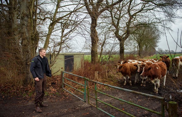 Hauke Sierck, Landwirt, steht Rindern gegenüber auf dem in Familienbesitz befindlichen Landwirtschaftsbetrieb Hof Fuhlreit. (Zu dpa &quot;Bauer Sierck erfindet seine Landwirtschaft in Kropp neu&quot;)