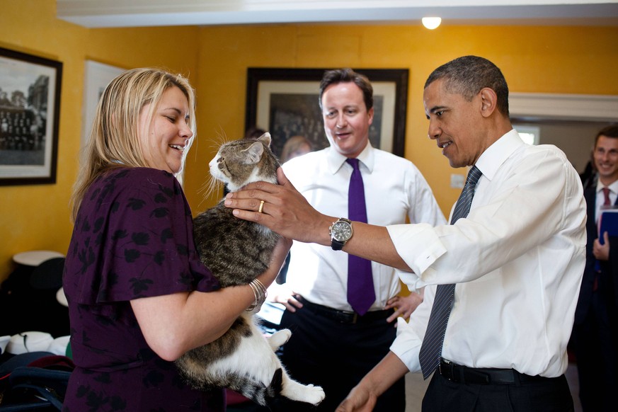 Larry durfte sich auch schon von Barack Obama kraulen lassen. Im Hintergrund: Ex-Premierminister David Cameron.