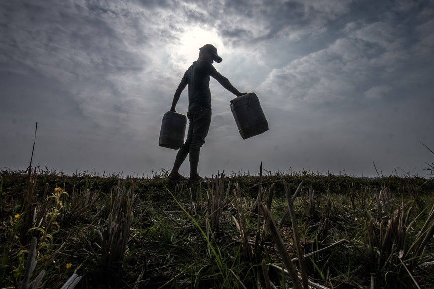 News Bilder des Tages Water Crisis Due to Drought Residents in Bogor, West Java, Indonesia, collected water infiltration in the paddy field for their needs at home on August 12, 2023, due to a scarcit ...