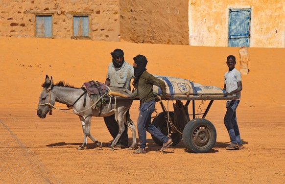 Shingetti. Mauritania. October 01, 2021. Three local residents are carrying building materials on a donkey cart along the sandy street of the city. Here it is the most common form of transport.