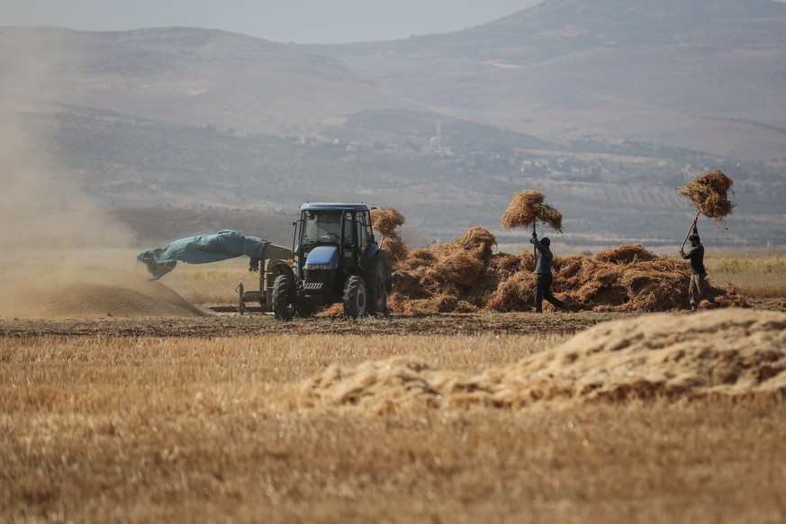 Weizenernte in Sahl ar-Ruj. Die Dürre bereitet Beobachtern Sorge.