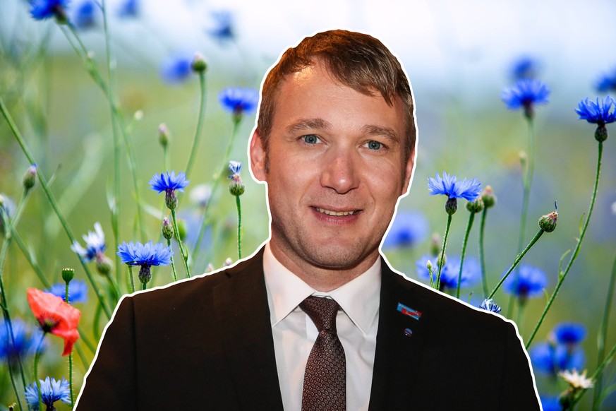 Feld mit Kornblumen *** Field with cornflowers PUBLICATIONxINxGERxSUIxAUTxONLY photocase_1343493