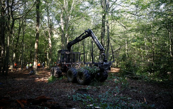 A forest clearing machine is pictured in the forest &quot;Hambacher Forst&quot; in Kerpen-Buir near Cologne, Germany, September 14, 2018, where protesters have built a camp with tents and treehouses t ...