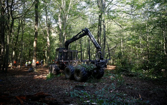 A forest clearing machine is pictured in the forest "Hambacher Forst" in Kerpen-Buir near Cologne, Germany, September 14, 2018, where protesters have built a camp with tents and treehouses t ...