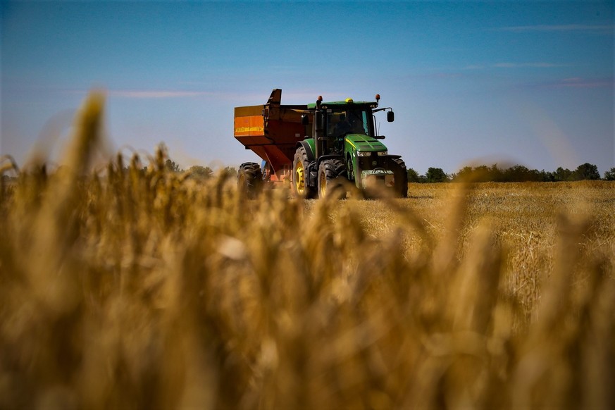 Die Ukraine gehört zu den größten Getreide-Exporteuren weltweit.