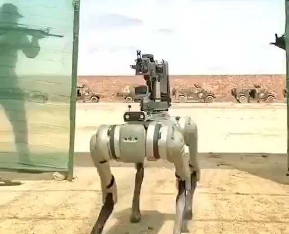 Die Roboterhunde aus China sindmit automatischen Gewehren ausgerüstet.