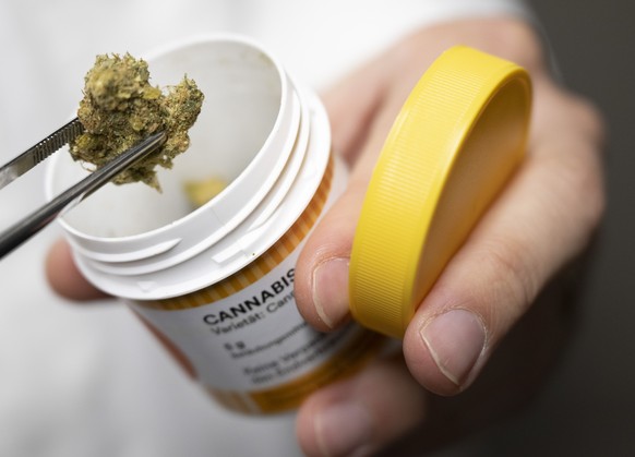 20.09.2022, Hessen, Mördfelden-Walldorf: Cannabisblüten zur medizinischen Behandlung gehören zum Produktbestand von "Cansativa". Hinter dicken Betonwänden lagern hier hunderte Kilogramm Cann ...