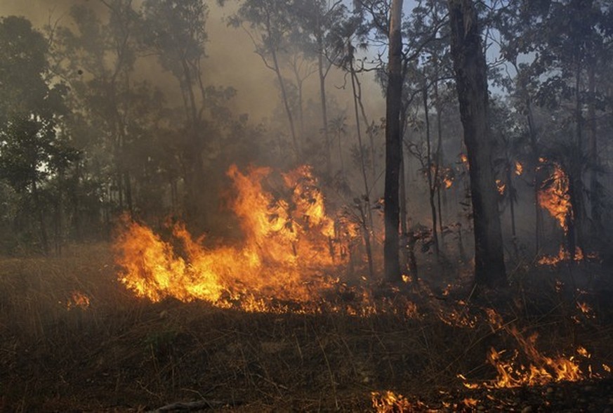 Feuer fast überall: Seit Monaten wüten Buschbrände in Australien.